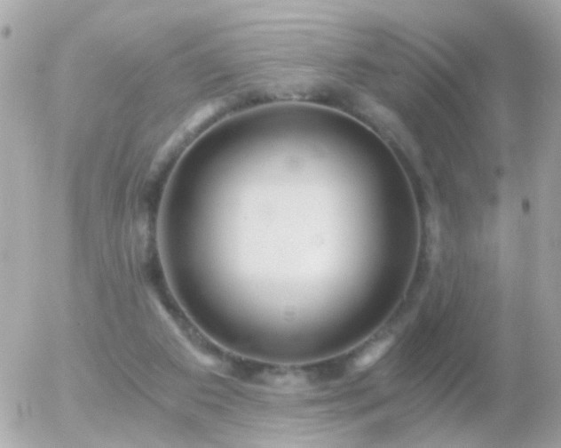 X0000056030113200508261917