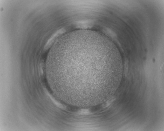 X0000056030114200508261916