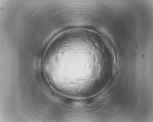 X0000056030115200508261916