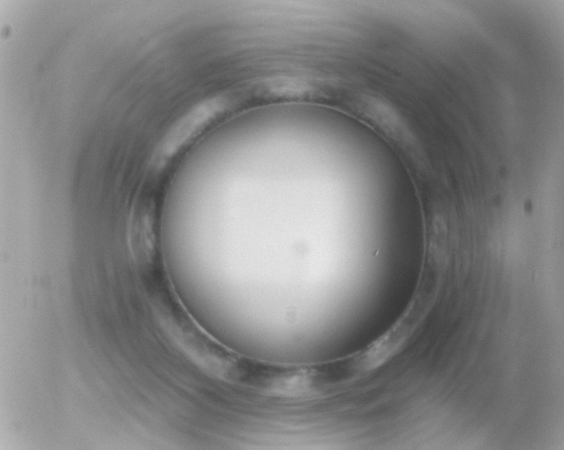 X0000056030116200508261916