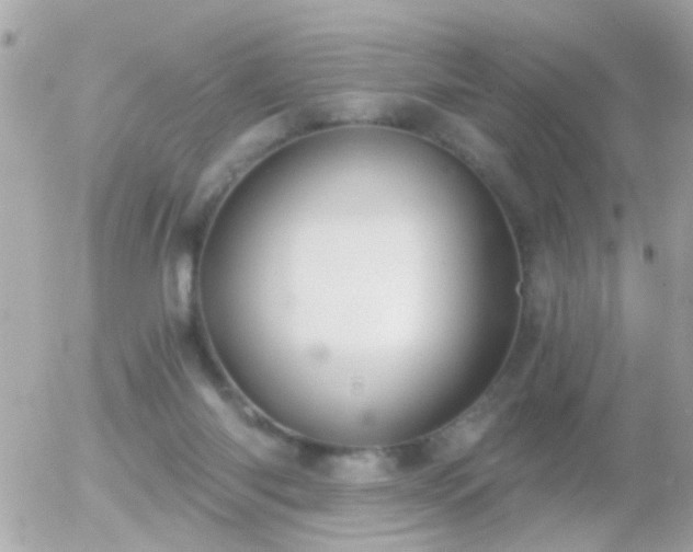 X0000056030118200508261916