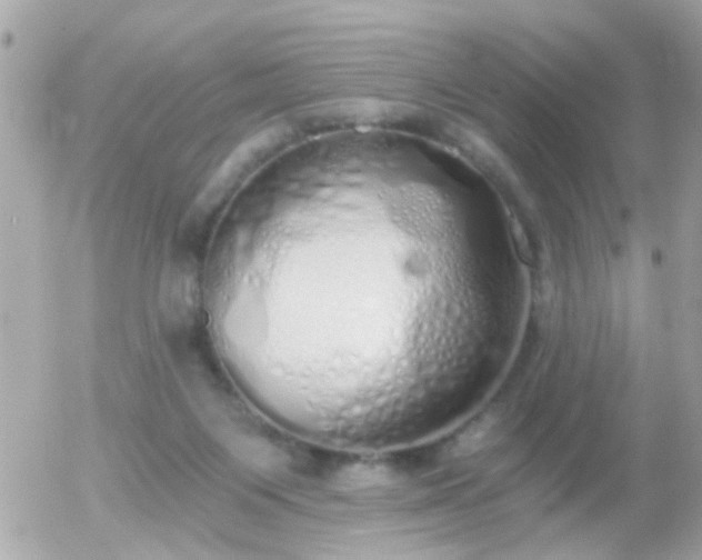 X0000056030119200508261916