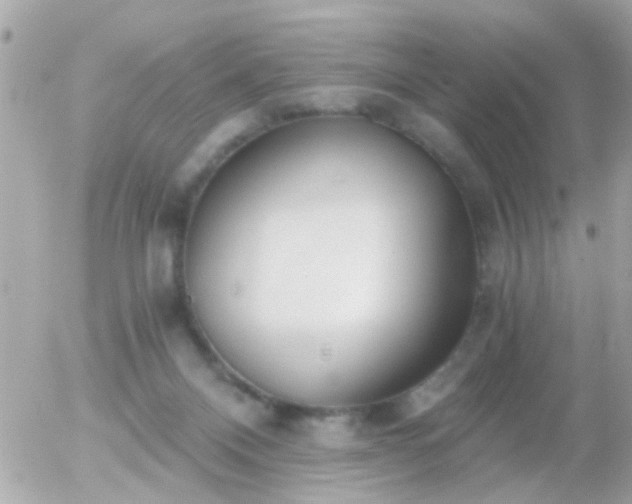 X0000056030120200508261916