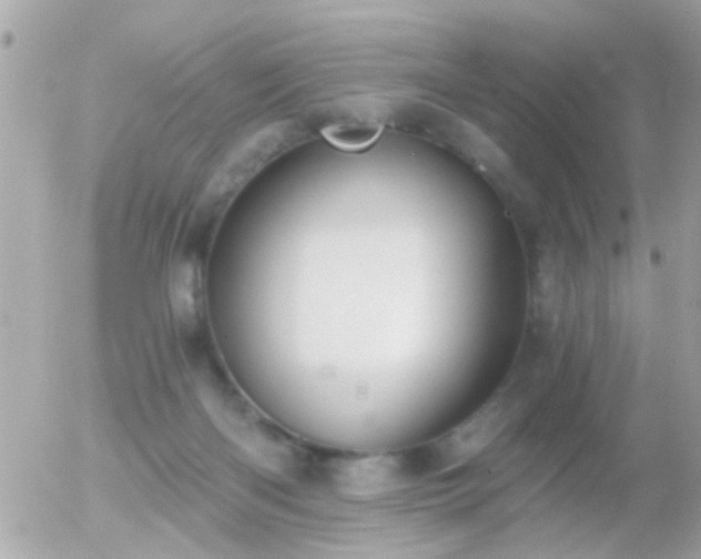 X0000056030122200508261916