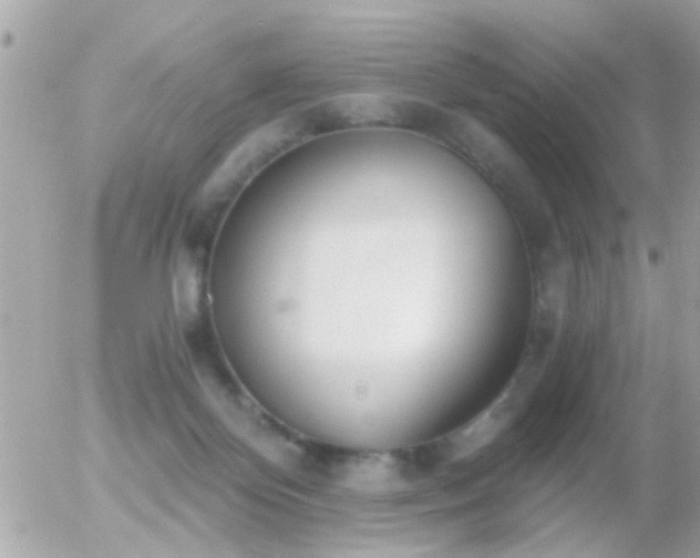 X0000056030124200508261916