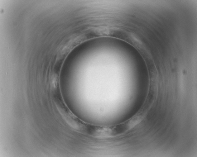 X0000056030125200508261916