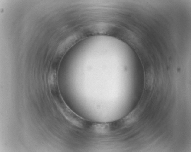 X0000056030126200508261916