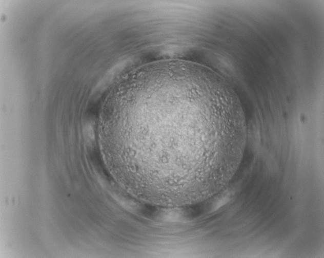 X0000056030127200508261916