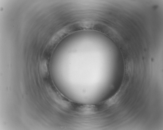 X0000056030128200508261916