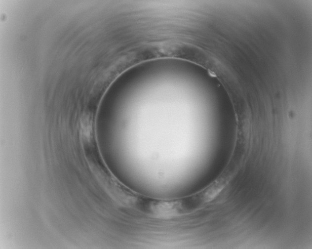 X0000056030129200508261916