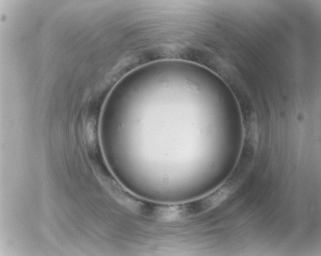 X0000056030131200508261916