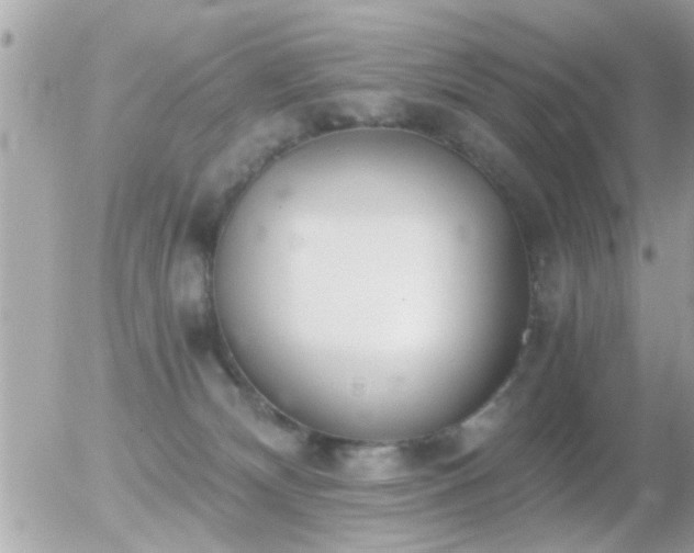 X0000056030132200508261916