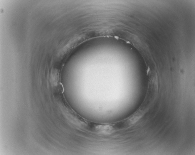 X0000056030133200508261916