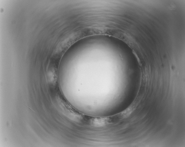 X0000056030134200508261916