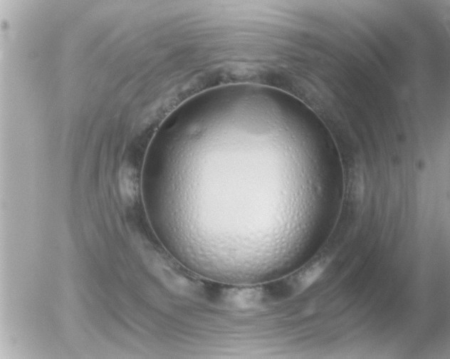 X0000056030135200508261916