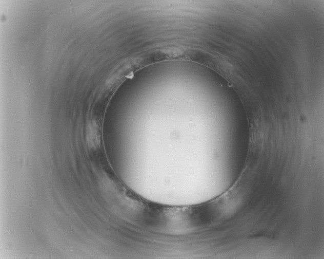 X0000056030136200508261916