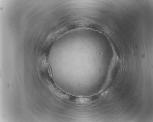 X0000056030137200508261916