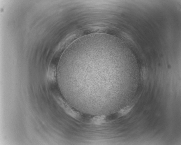 X0000056030138200508261916