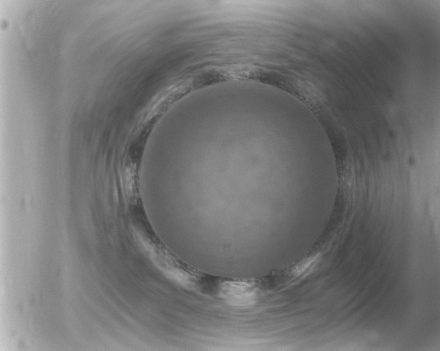 X0000056030139200508261916