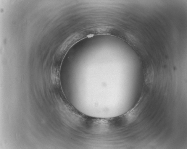 X0000056030140200508261916