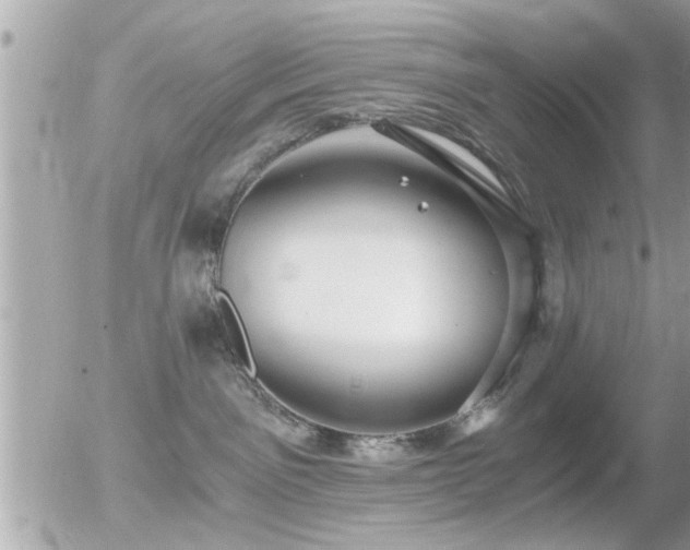 X0000056030141200508261916