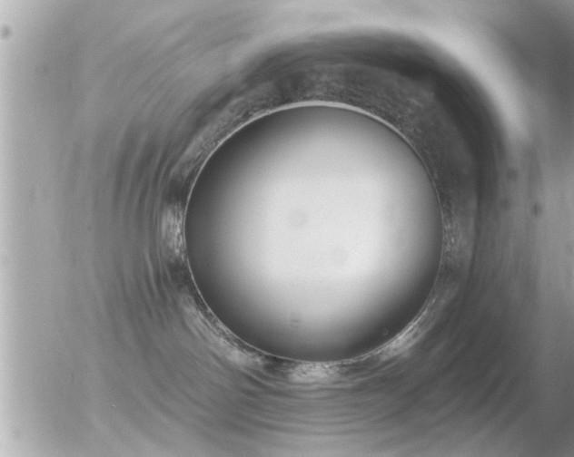 X0000056030142200508261916