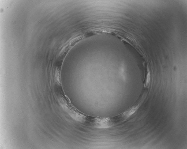 X0000056030143200508261916