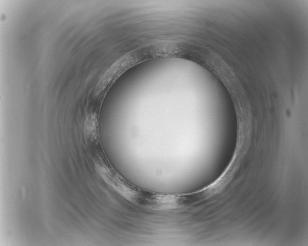 X0000056030144200508261916