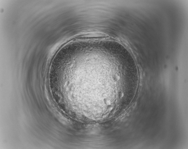 X0000056030145200508261915