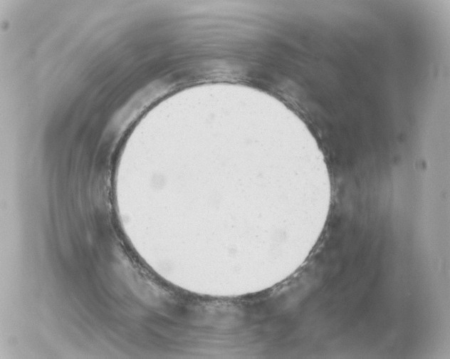 X0000056030146200508261915