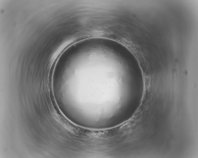 X0000056030147200508261915