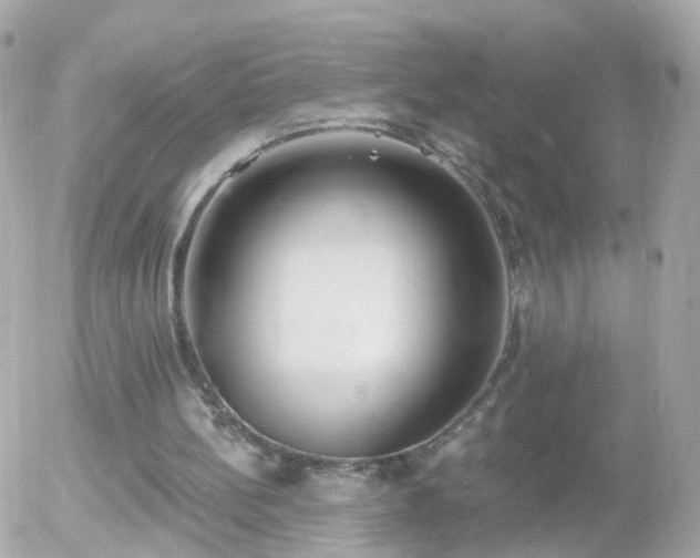 X0000056030148200508261915