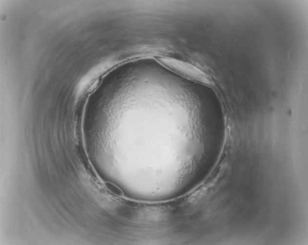 X0000056030149200508261915