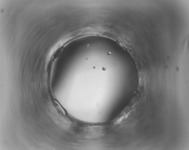 X0000056030150200508261915