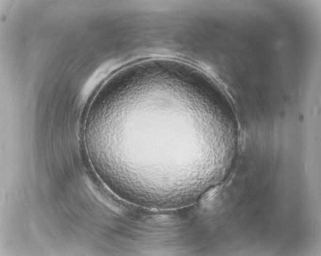 X0000056030151200508261915