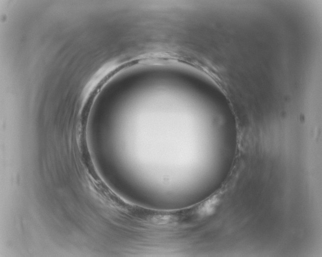 X0000056030152200508261915