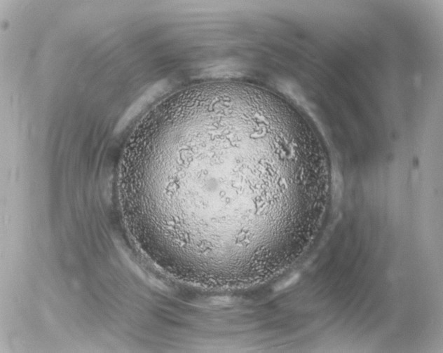 X0000056030153200508261915