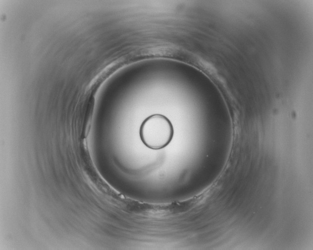 X0000056030154200508261915