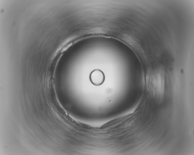 X0000056030156200508261915