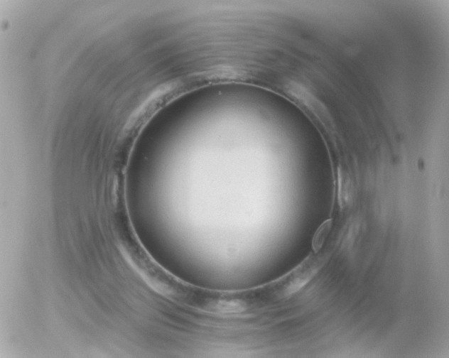 X0000056030157200508261915