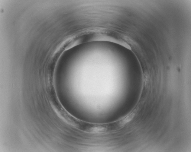 X0000056030158200508261915