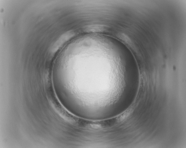 X0000056030159200508261915