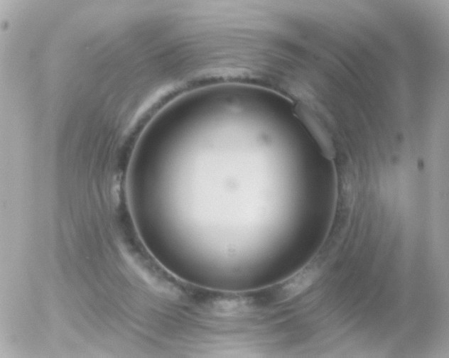 X0000056030160200508261915