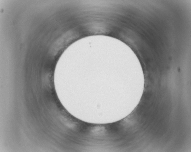 X0000056030162200508261915