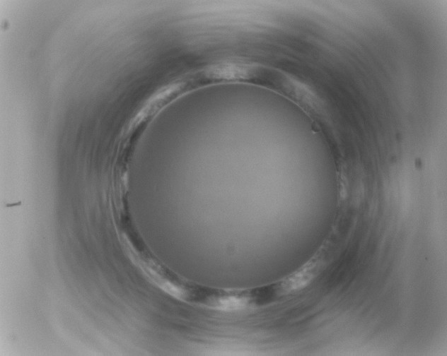 X0000056030163200508261915