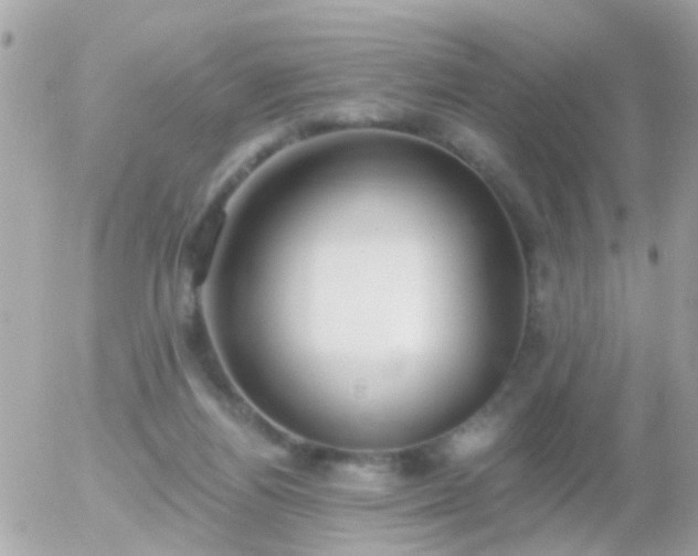 X0000056030164200508261916