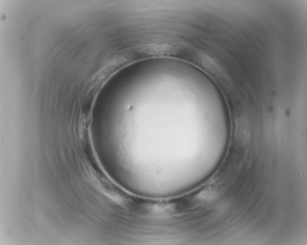 X0000056030165200508261916