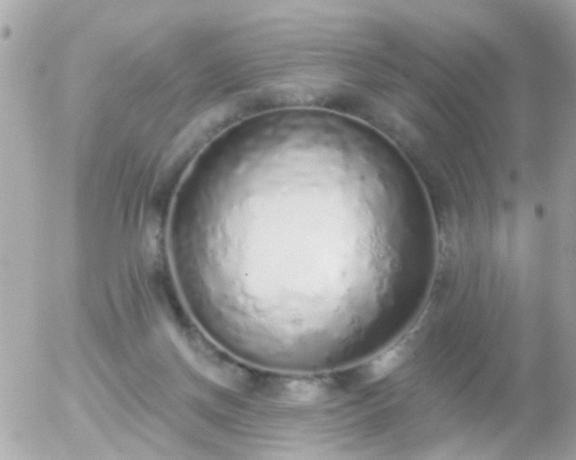 X0000056030166200508261916