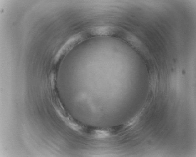 X0000056030167200508261916