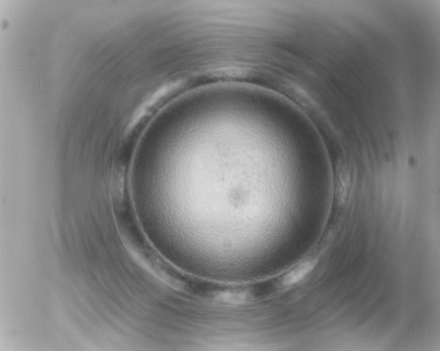 X0000056030168200508261916